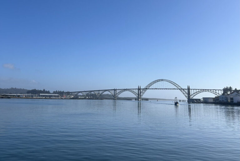 Прибрежные группировки подали в суд на федералов за удаление вертолета Newport