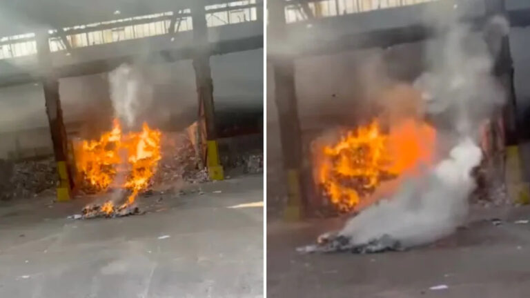 Эксперты выдают срочное предупреждение после обнаружения феномена «взрывающегося зомби» по всей стране