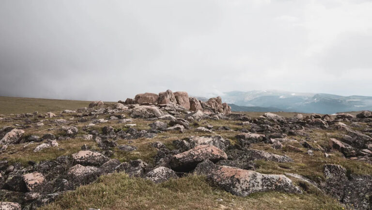 Эксперт предупреждает после наблюдения тревожной тенденции на американских камерах: «Сейчас это странная аномалия».