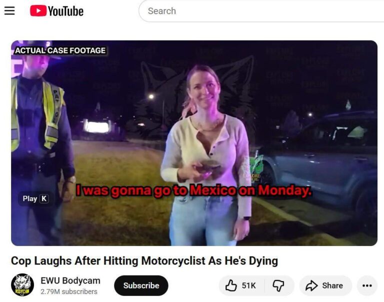 Миллионы людей смотрят видео с кулаками крушения WSP на YouTube