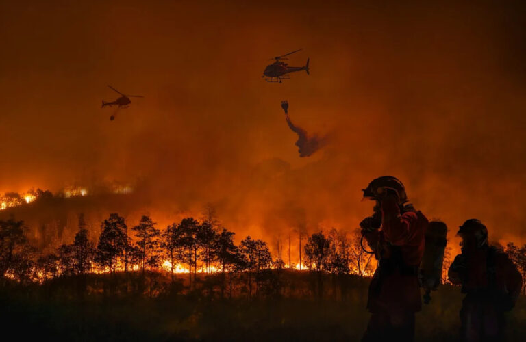 Пожарные борются с быстро распространяющимся лесным пожаром в США на фоне мощных порывов ветра: «Мы не можем предсказать это»