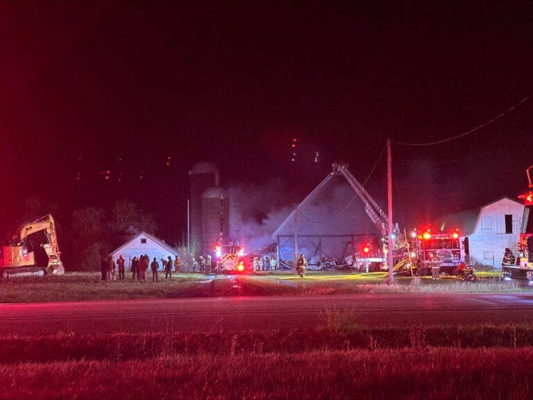 1 корова погибла, 5 сбежали в амбаре Уитфилда