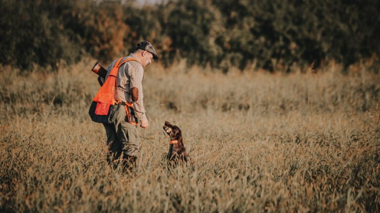 Калифорнийский сезон перепелов и охоты на чукаров открывается с большими ожиданиями