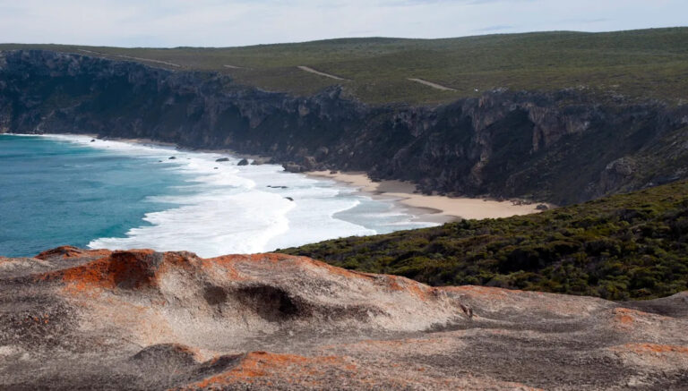 Исследователи ошеломлены, обнаружив редких существ в неожиданном месте: «Последнее, что я ожидал найти»