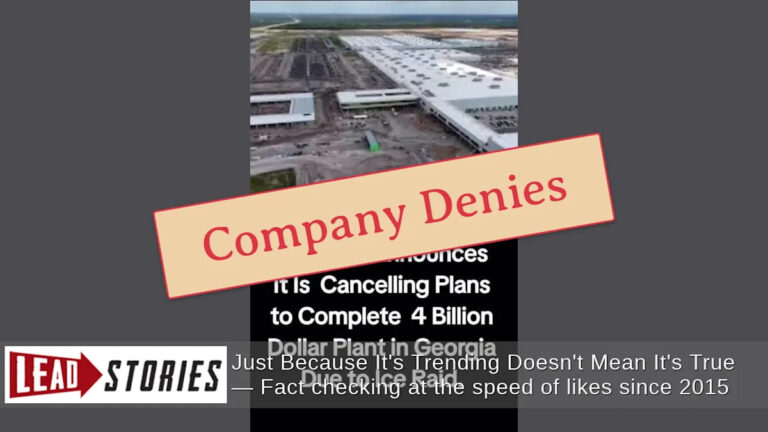 Hyundai не объявила об отмене своего завода в Грузии стоимостью 4 миллиарда долларов после рейда на лед