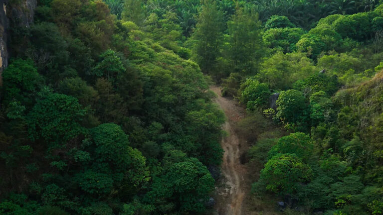 Исследователи предупреждают после наблюдения за изменениями в поведении змей: «Надвигающийся кризис общественного здравоохранения»