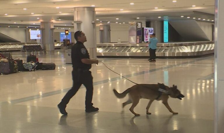В аэропорту Лас-Вегаса нет собак-наркоманов, но не фентанила, говорит исполняющий обязанности прокурора США