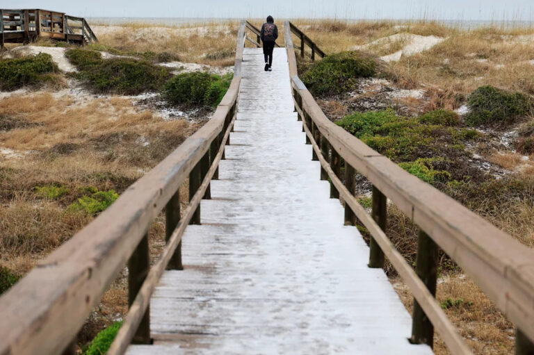 Альманах фермеров» заканчивается в 2026 году. Посмотрите его последний зимний прогноз для Флориды