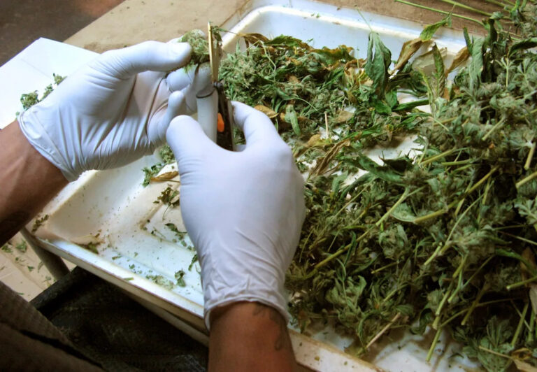 Законно ли курить травку в общественных местах Род-Айленда?