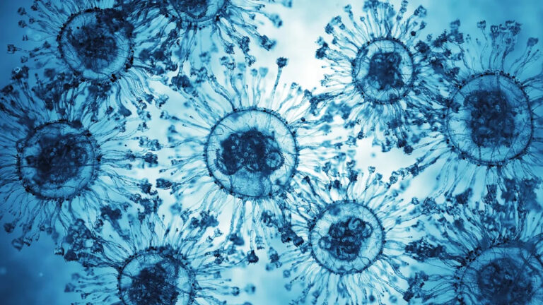 Между жизнью и смертью существует «третье состояние», и это говорит о том, что ваши клетки находятся в сознании.