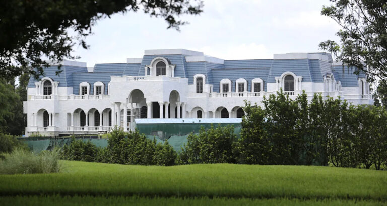 Борьба за магната таймшеров Дэвида Сигела: невестка судится за упущение своих сыновей