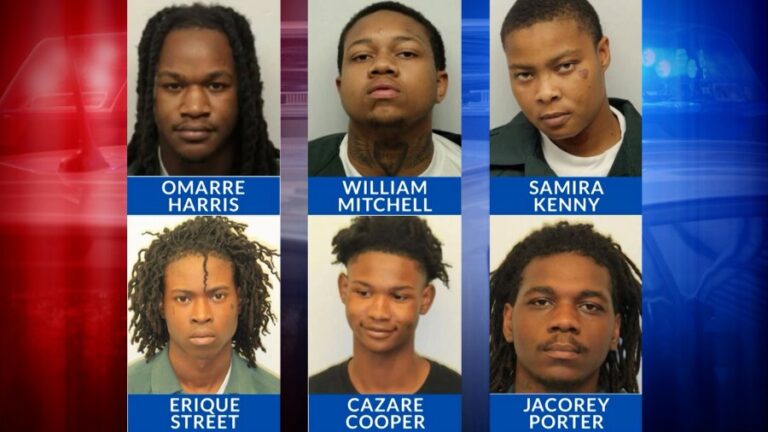 Дело о массовой стрельбе на площади Эллис предстанет перед судом