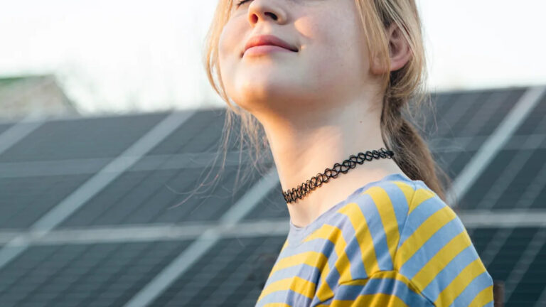 Новое исследование показывает, что солнечные батареи предотвращают преждевременную смерть в США: «их более широкие социальные выгоды недостаточно изучены».