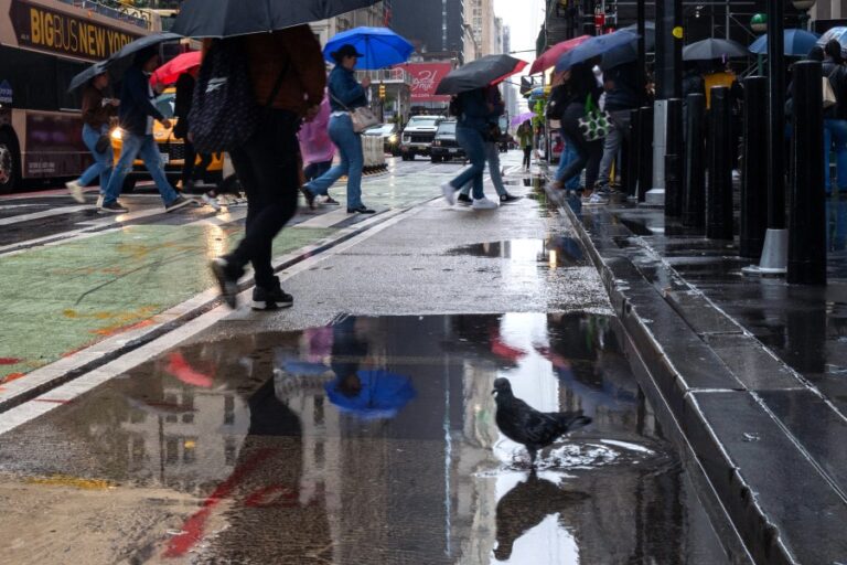 Сильный снег ожидается к северу от Нью-Йорка, поскольку сильный шторм движется в