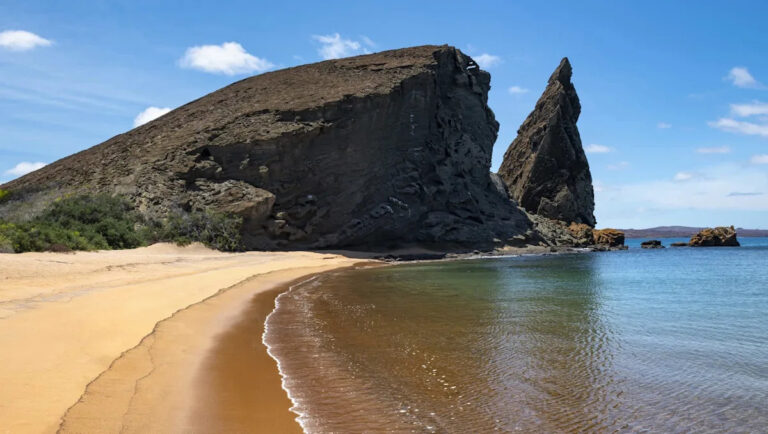 Ученые бьют тревогу по поводу взрывного вторжения, угрожающего крупным островам: «Они действительно громкие»