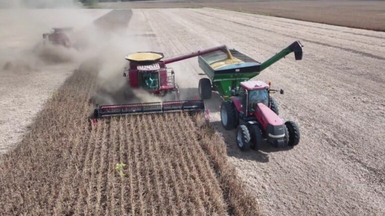 Трамп объявил о выделении 12 млрд долларов на помощь фермерам, и будет ли этого достаточно для помощи в Иллинойсе?