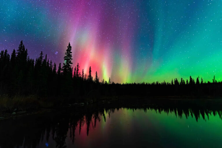 Не пропустите северное сияние сегодня вечером — эти штаты могут увидеть потрясающий дисплей