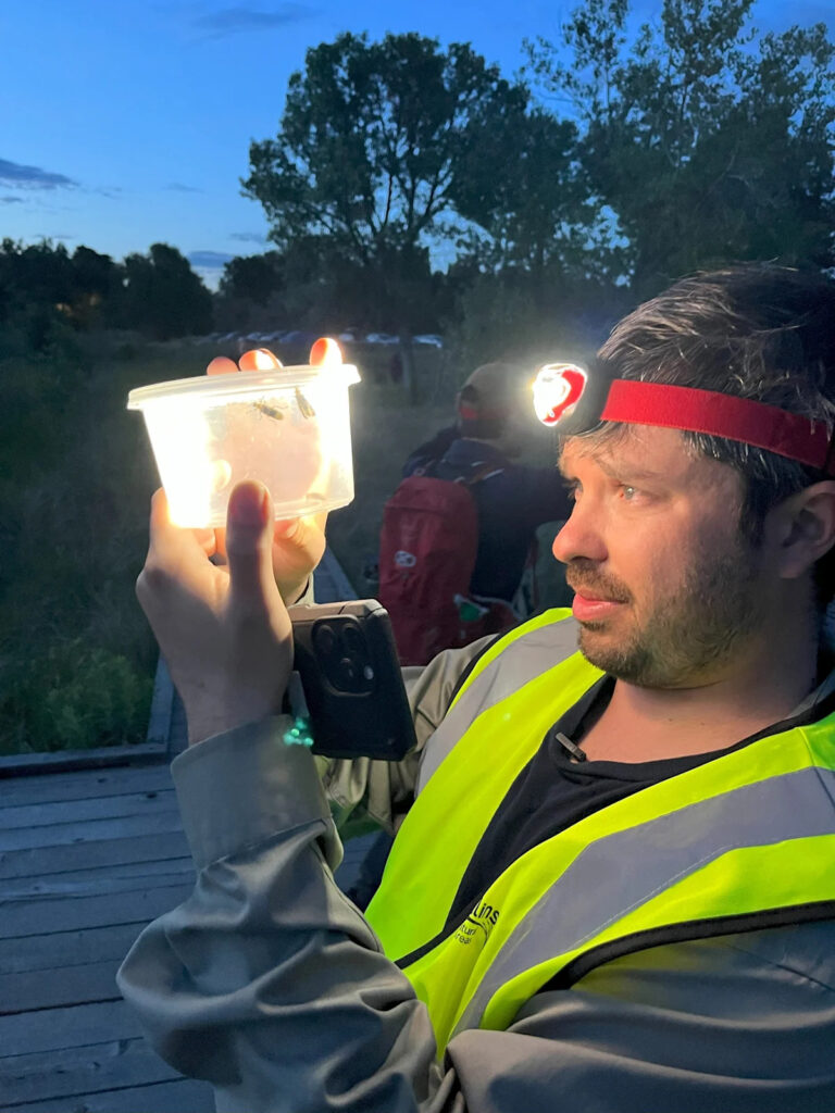 Огненные светлячки освещают Огайо. Вот что происходит по всему штату.