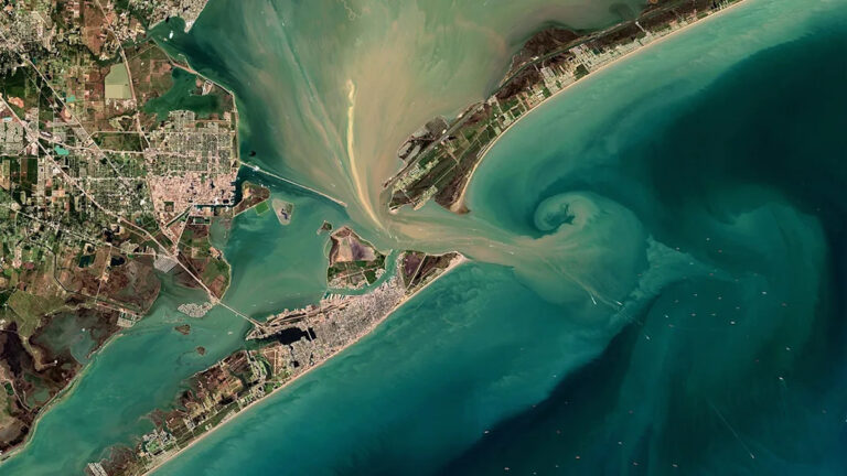 Несколько погибших, о которых сообщалось, когда самолет ВМС Мексики потерпел крушение у побережья Техаса, ведутся усилия по восстановлению