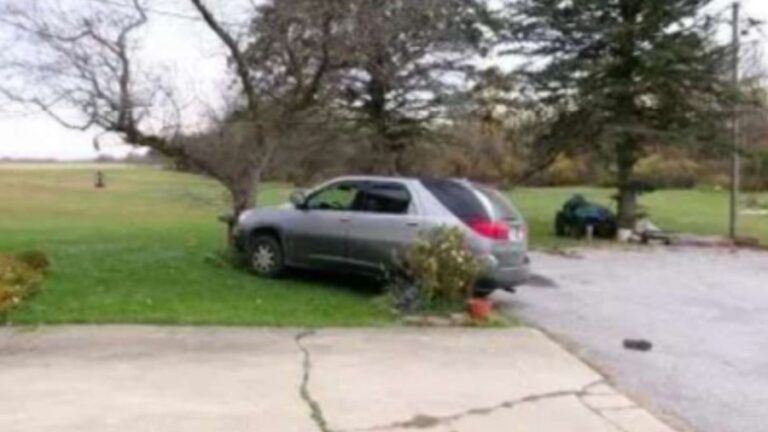 Подозреваемый арестован после погони, которая привела к столкновению на кукурузном поле на прошлой неделе: отчет