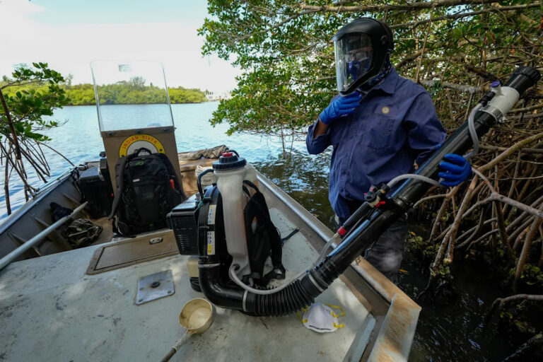 Самое смертоносное животное в мире, вероятно, находится за пределами вашего дома в Джорджии.