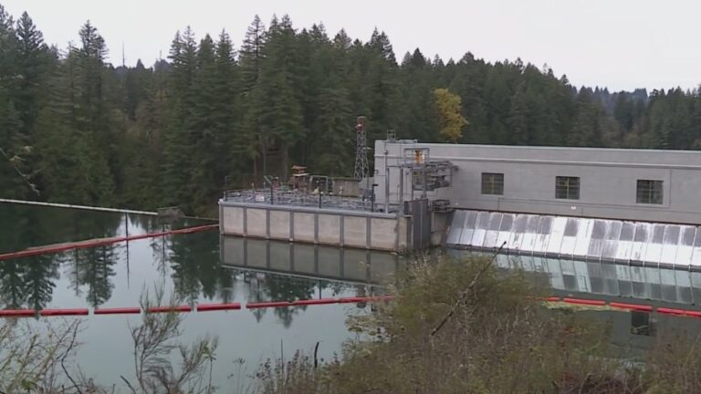 Ночная тревога о прорыве плотины реки Клакамас была «ложной тревогой», сообщает PGE.