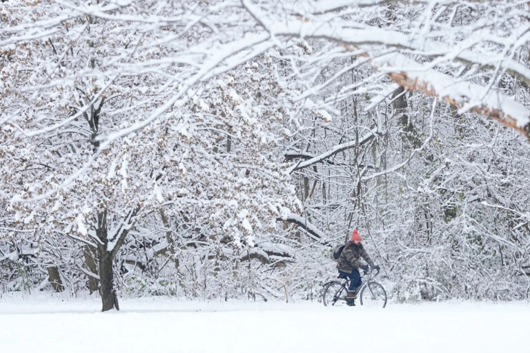 Снег может вызвать перебои в подаче электроэнергии в вашем районе.