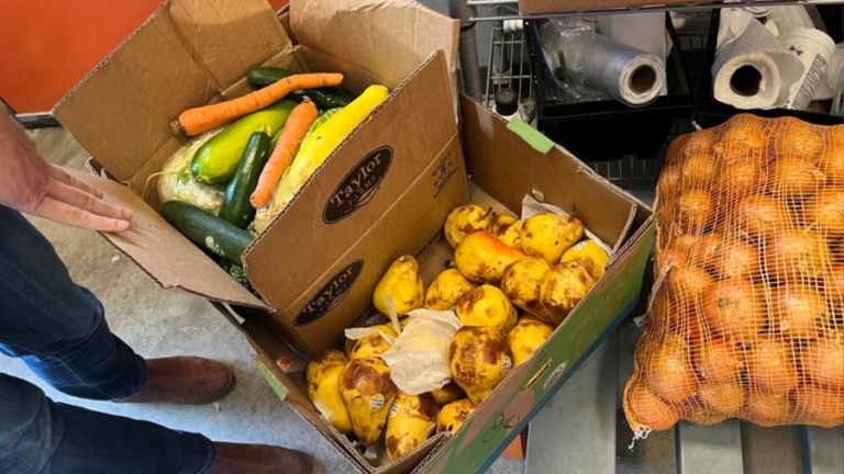 Недоукомплектованный DTA сталкивается с серьезными штрафными рисками SNAP