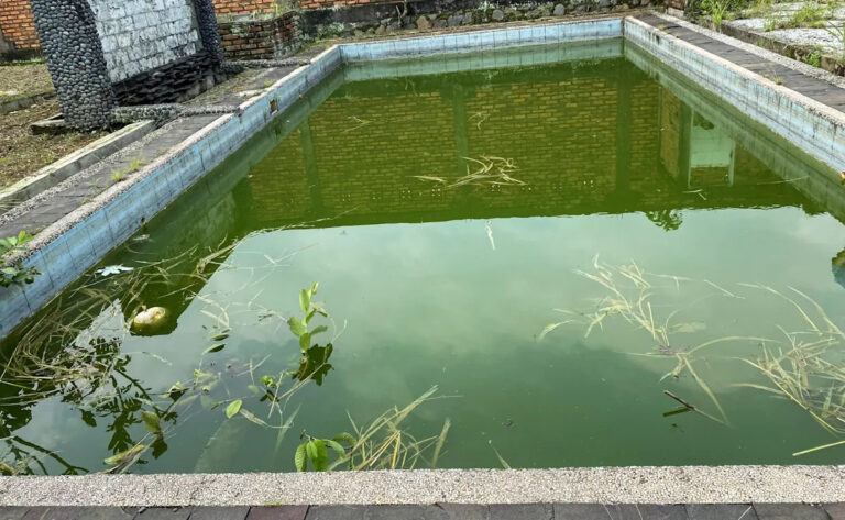 Сосед-кошмар превращает несостоявшуюся собственность домовладельца в нежизнеспособное болото: «Прошлым летом мы не могли выйти на улицу