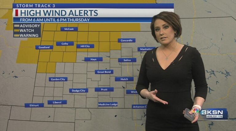 Прогноз Storm Track 3: сильный ветер приближается завтра ночью, высокая пожароопасность