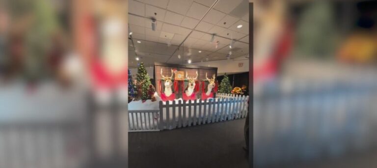 Зачарованный лес возвращается в музей Розового дворца