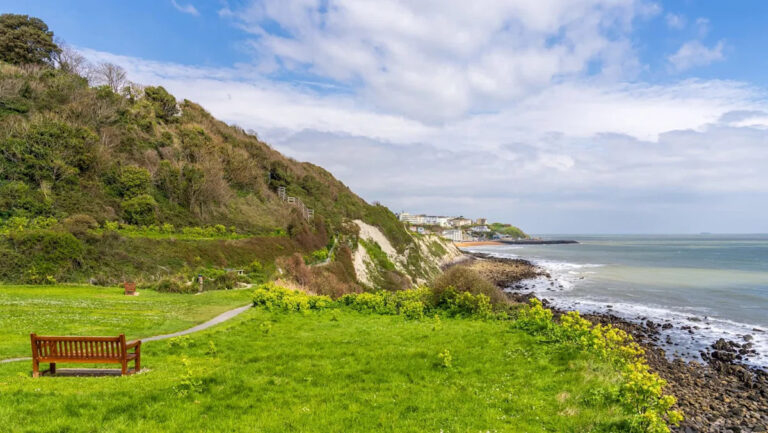 Эксперты ошеломлены, обнаружив существ, которые считались вымершими на протяжении десятилетий: одно из этих незабываемых открытий