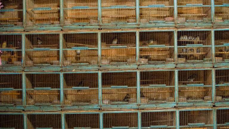 Чиновники обнаружили огромный всплеск тревожных грузов, пересекающих границы США: «Они просто хотят заработать деньги»