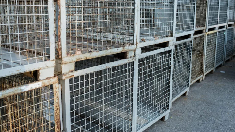 Эксперты поднимают красные флаги, поскольку шокирующий всплеск контрабанды вызывает разрушительные последствия: печальная реальность