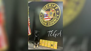 2 арестованы после того, как полиция К9 обнаружила фентанил во время остановки движения