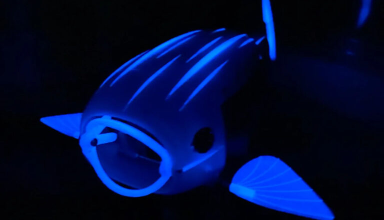 Студент разработал умопомрачительную рыбу-робота с невероятными возможностями: «Встреча с Гиллбертом»
