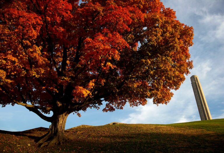 Знаки, которые падают прямо за углом в Канзас-Сити