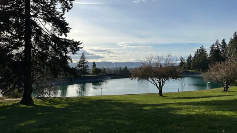 Садовник предупреждает о том, что его можно увидеть в местном парке: «Работа никогда не заканчивается»