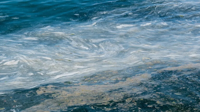 Ученые ошеломлены открытием загадочных бактерий в Мировом океане: «Спонтанно эволюционировали в глубоком море»