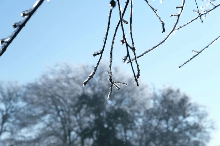 Хьюстон готовится к первому замораживанию в качестве бочек «Blue Norther» на юго-востоке Техаса