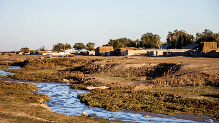 Трейл-камера фиксирует кадры необычного поведения редкого хищника: «Он находится на вершине пищевой цепи».