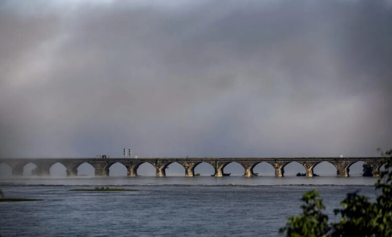 Исследователи предупреждают о распространении в некоторых частях крупной реки: «Это может изменить целые пищевые сети».