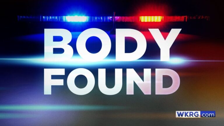 ОБНОВЛЕНИЕ: Возможно опознавание после обнаружения тела в округе Болдуин