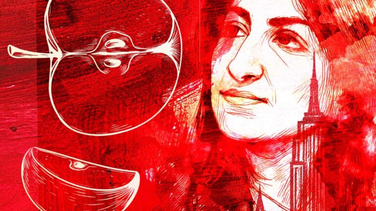 Мамдани нужен максималистский взгляд на власть мэра, чтобы достичь своих целей.