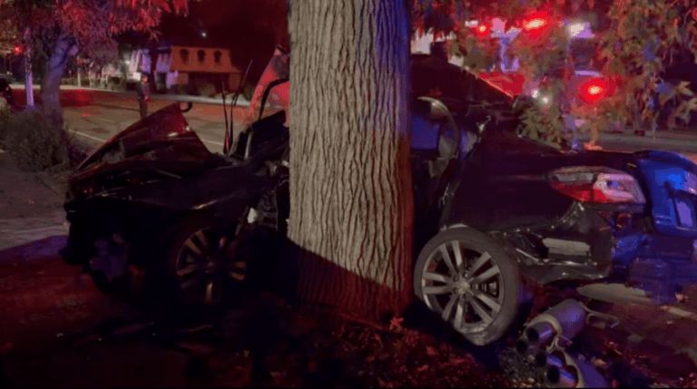 1 мертвый после того, как автомобиль обернулся вокруг дерева в Сан-Хосе