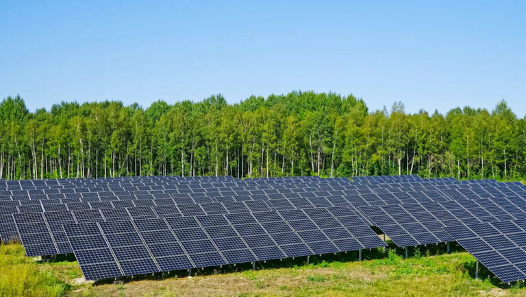 Ученые сделали потрясающее открытие после установки солнечных панелей на сельскохозяйственных угодьях: «Это действительно важно»