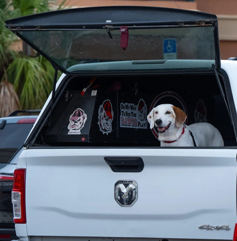 Разве незаконно ездить в кровати пикапа в Южной Каролине?