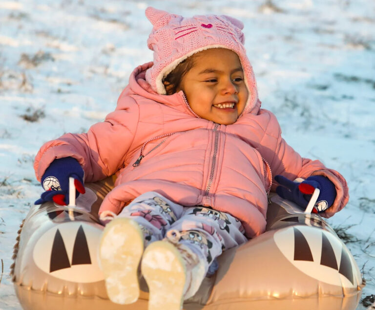 Как называются школьные снежные дни в штате Делавэр?