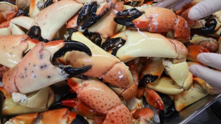 Давайте попробуем разобраться: цены на крабов во Флориде в 2025 году. Сколько вы заплатите?