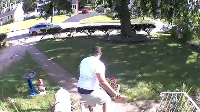 Пираты-порч атаковали пакеты FedEx с инсайдерской информацией, говорят прокуроры